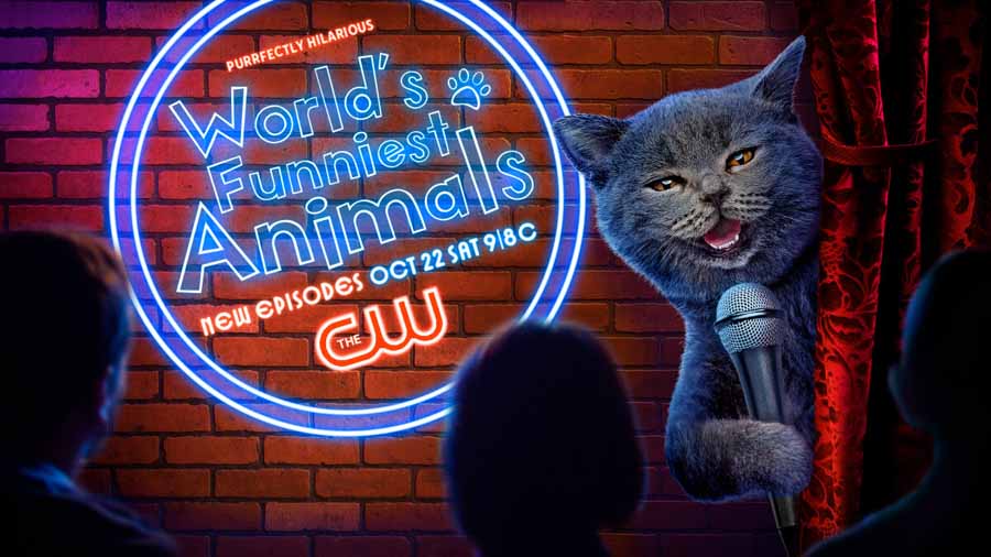 Worlds-Funniest-Animals-S4.jpg