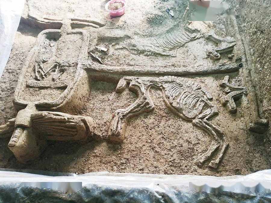 NAN-YANG-DA-MU.jpg