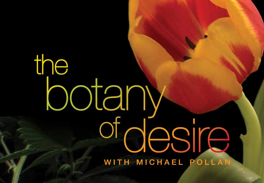 The-Botany-of-Desire.jpg