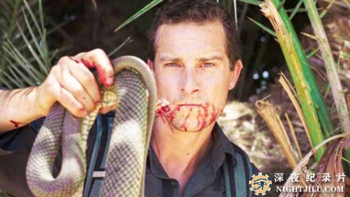 Man-vs-Wild-S2.jpg