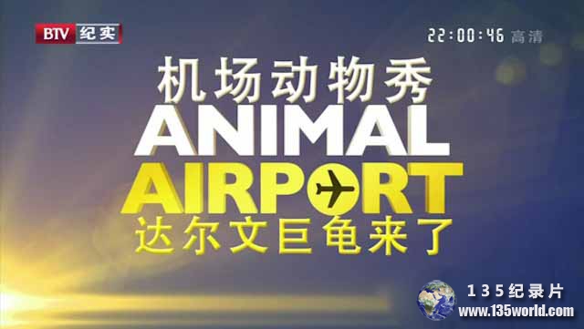 Animal-Airport.jpg