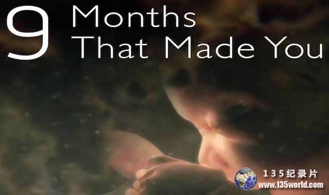 The-Nine-Months-That-Made-You.jpg