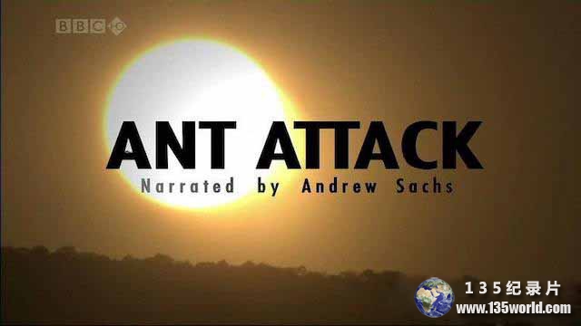 Ant-Attack.jpg