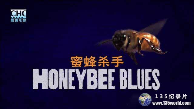 Honeybee-Blues.jpg