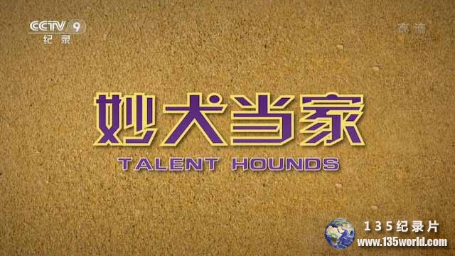 Talent-Hounds.jpg