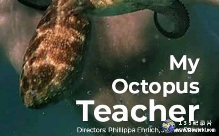 My-Octopus-Teacher.jpg