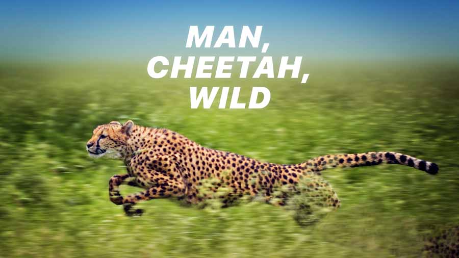Man-Cheetah-Wild.jpg