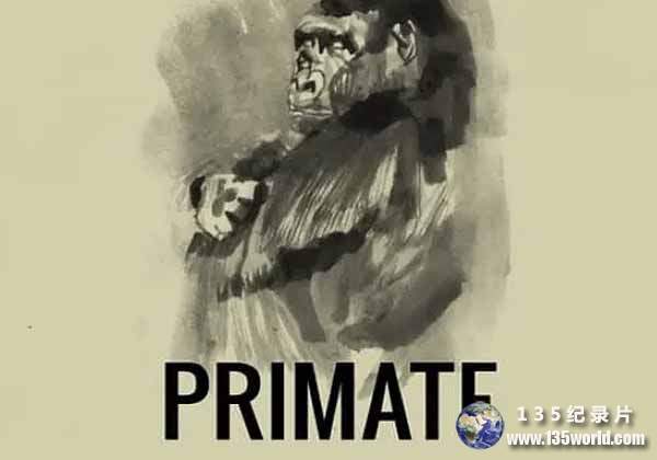 Primate.jpg