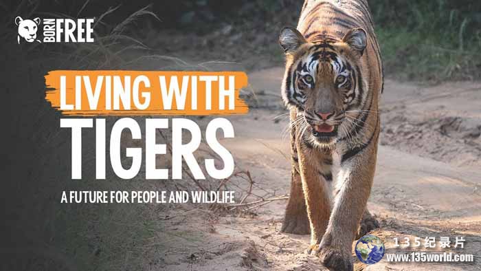 Living-With-Tigers.jpg