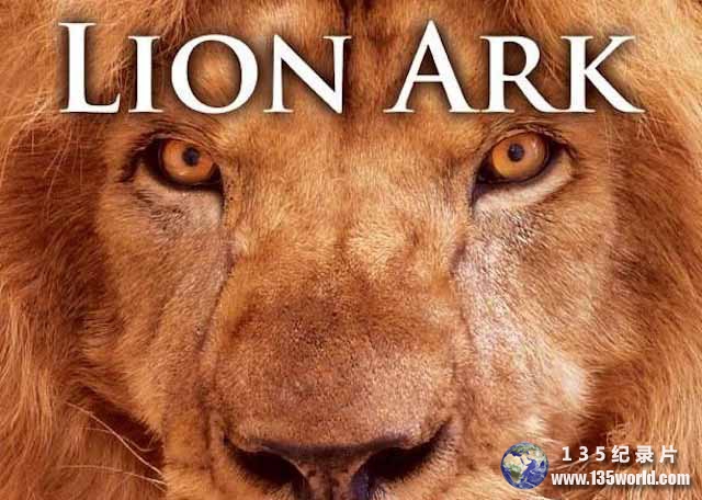 Lion-Ark.jpg