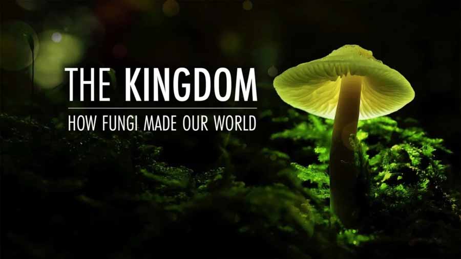 The-Kingdom-How-Fungi-Made-Our-World.jpg