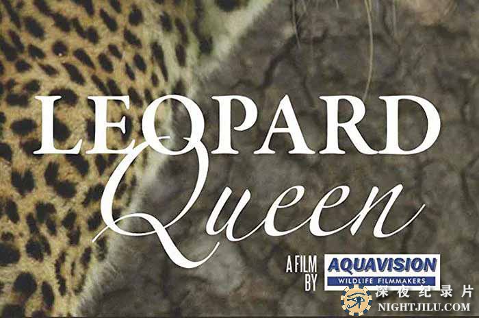 Leopard-Queen.jpg