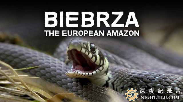 Biebrza-The-European-Amazon.jpg