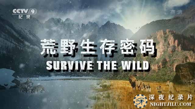 Survive-the-Wild.jpg