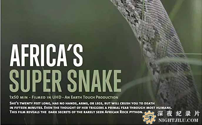 Africas-Super-Snake.jpg