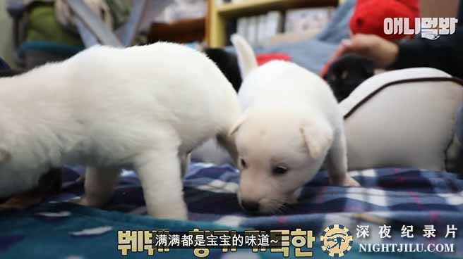 TV-dong-wu-nong-chang-2.jpg