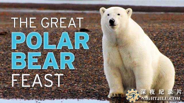 The-Great-Polar-Bear-Feast.jpg