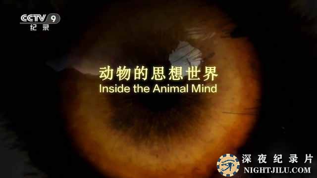 Inside-the-Animal-Mind.jpg