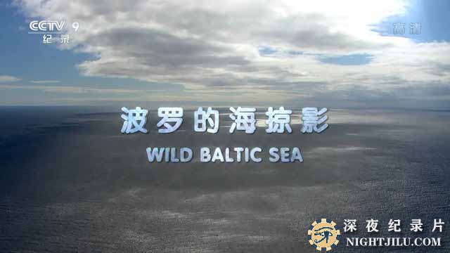 Wild-Baltic-Sea.jpg