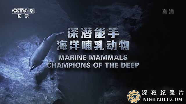 Marine-mammals.jpg