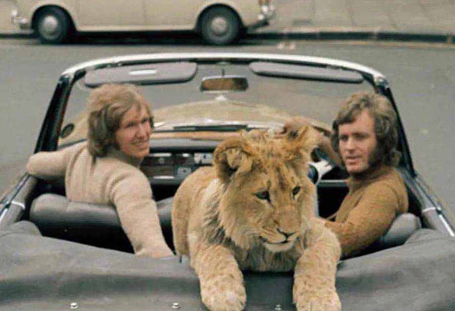 Christian-The-Lion.jpg
