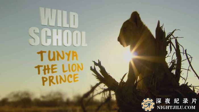BBC-Wild-School.jpg