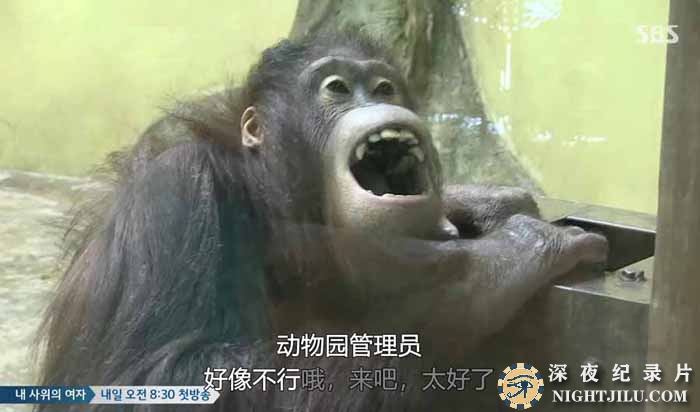 TV-dong-wu-nong-chang.jpg