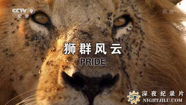 Pride.jpg