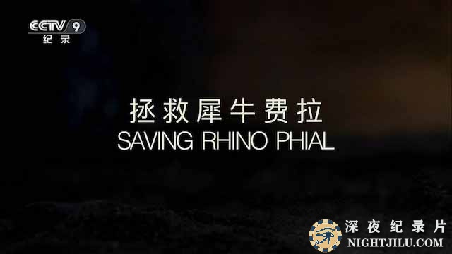 Saving-Rhino-Phial.jpg