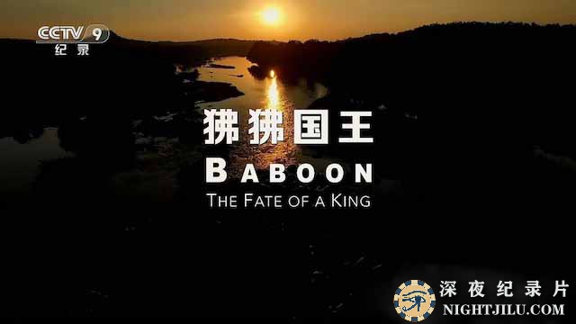 Baboon-The-Fate-of-a-King.jpg