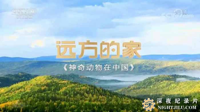 SHEN-QI-DONG-WU.jpg