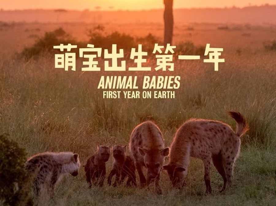 20230904101639521.jpg