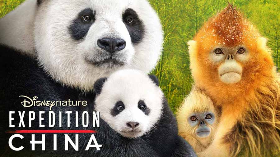 Expedition-China-2017.jpg