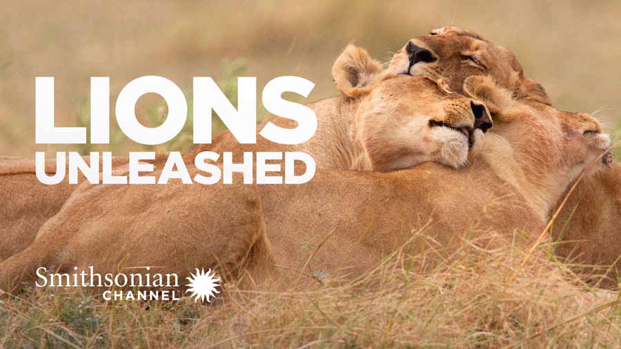 Lions-Unleashed.jpg