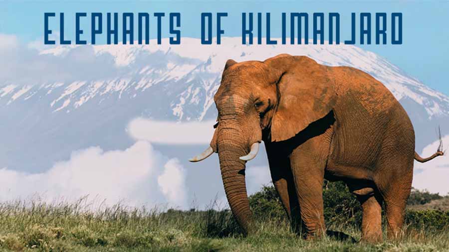 Elephants-of-Kilimanjaro.jpg