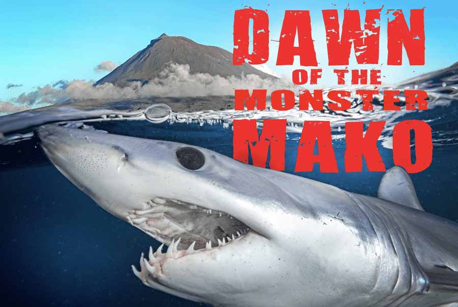 Dawn-of-the-Monster-Mako.jpg