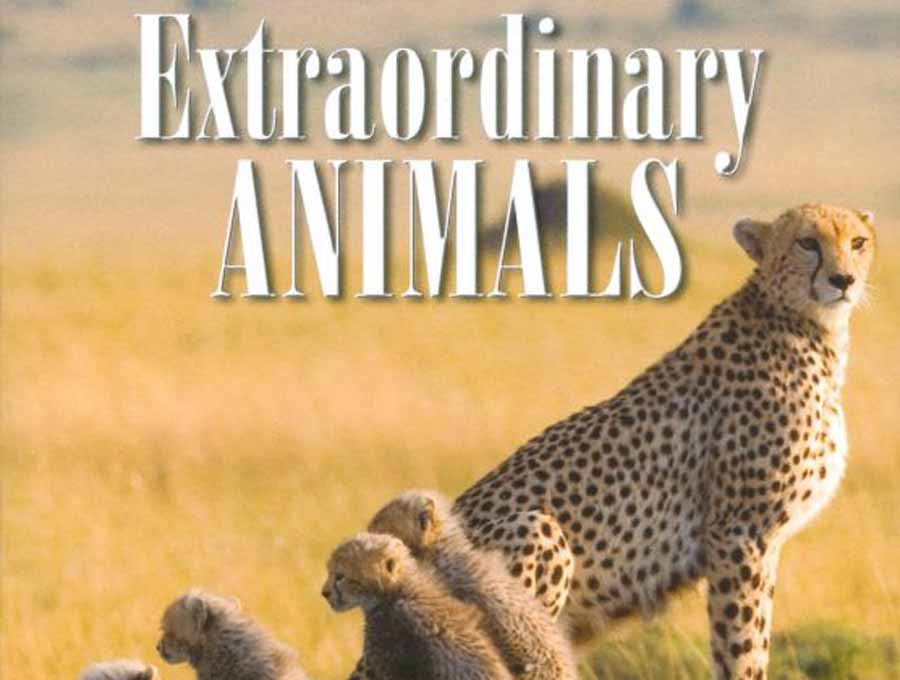 Extraordinary-Animals-2008.jpg