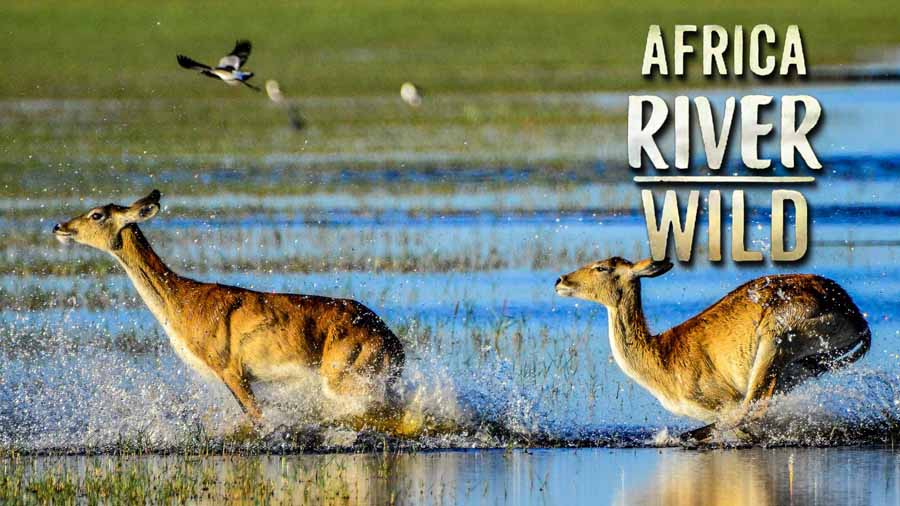 Africa-River-Wild.jpg