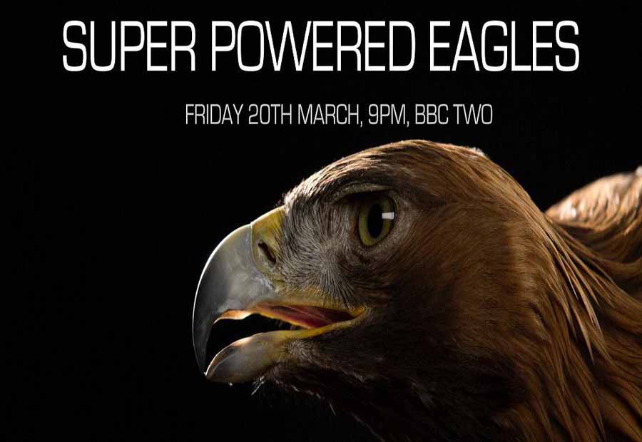Super-Powered-Eagles.jpg
