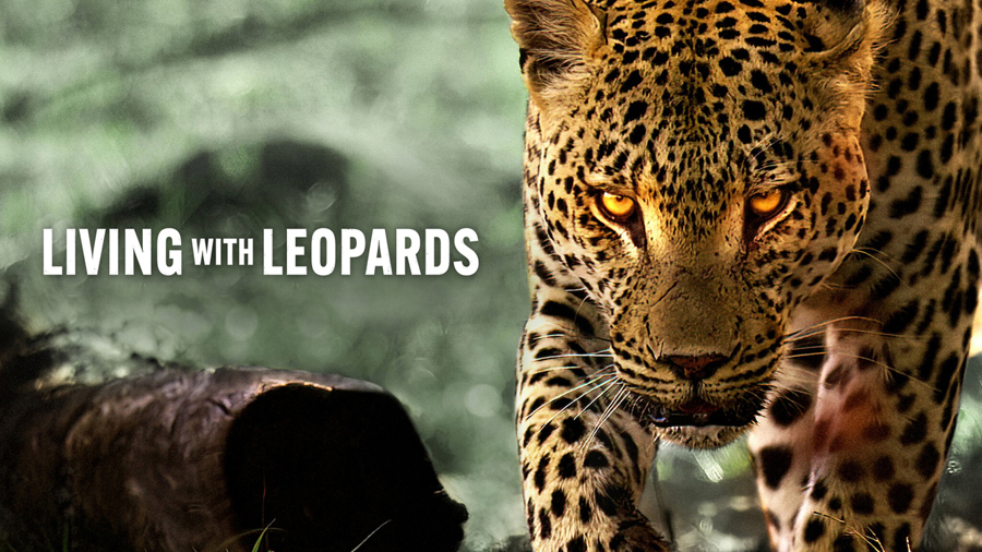 Living-with-Leopards.jpg