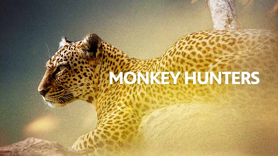 Monkey-Hunters.jpg