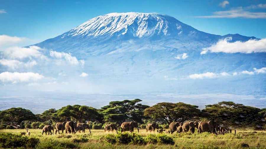 Wild-Tanzania.jpg