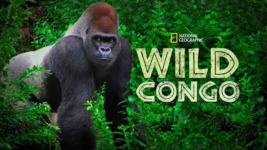 Wild-Congo.jpg