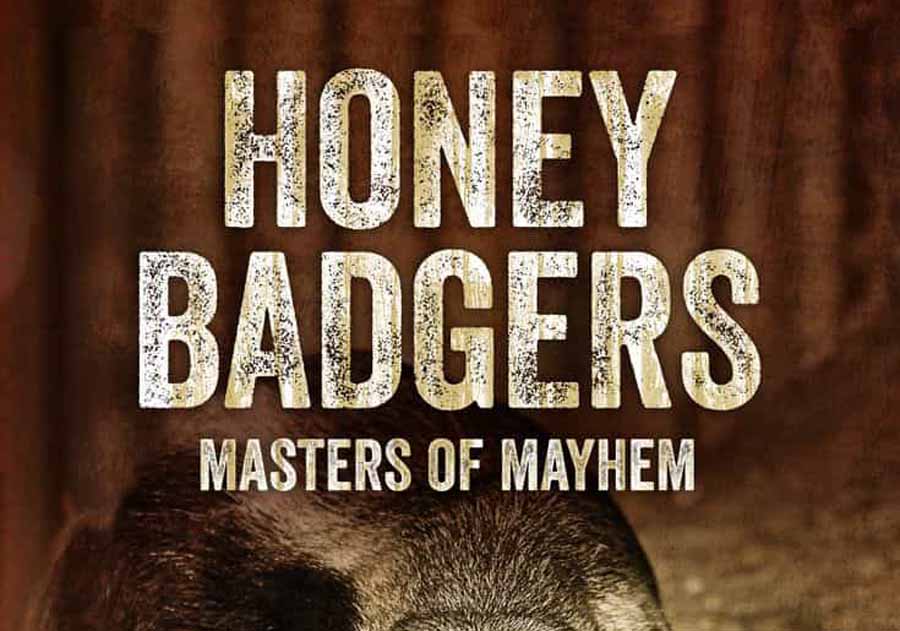 Honey-Badgers-Masters-of-Mayhem.jpg