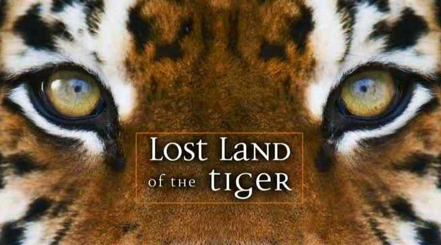 Lost-Land-of-the-Tiger.jpg