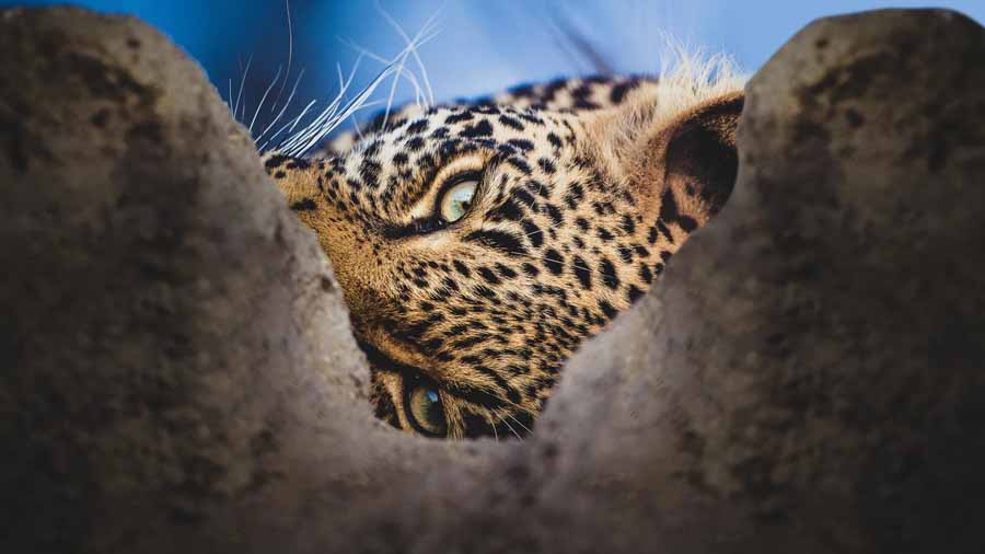 Africas-Hidden-Wonders.jpg