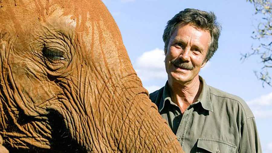 Elephant-Diaries-1.jpg