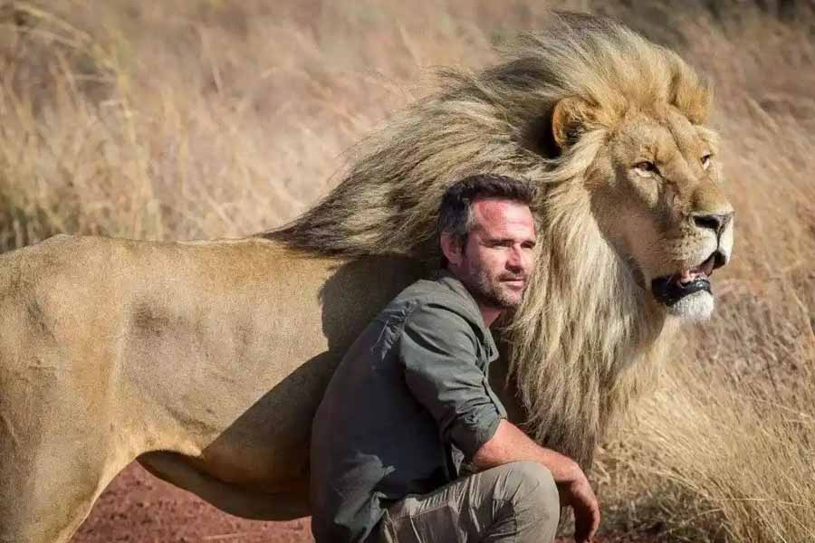 The-Lion-Ranger.jpg