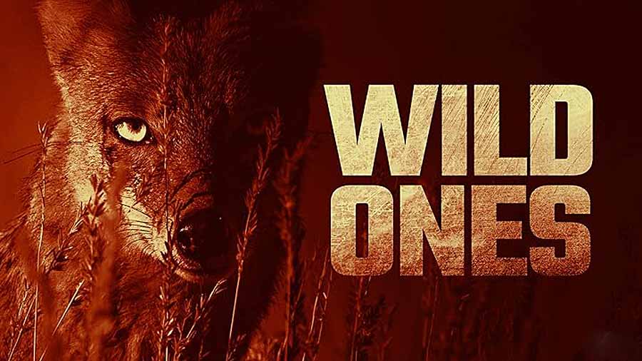 Wild-Ones-2014.jpg