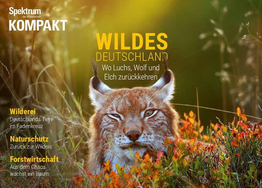 Wildes-Deutschland.jpg